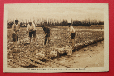 Postcard PC 1900-1930 Bassin d´ Arcachon France